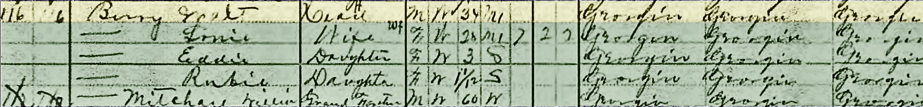 Walter Glen Berry 1910 census GA number 2
