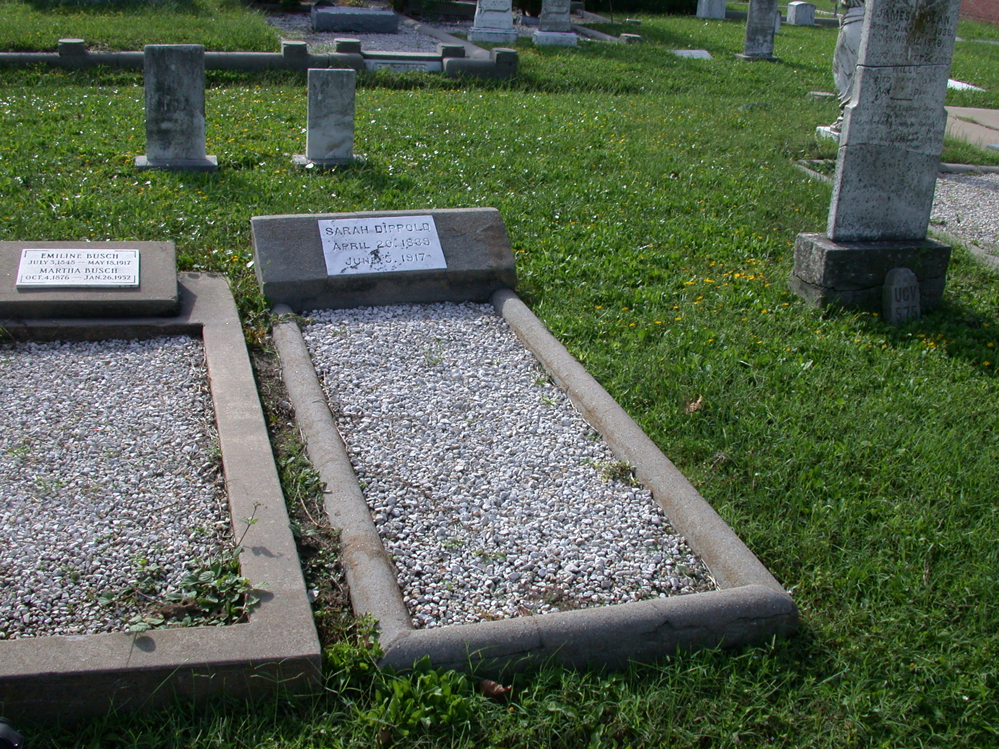 Sarah Berry Dippold grave