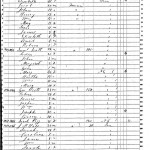 Sarah Pigg 1850 Census Wayne County Tennessee