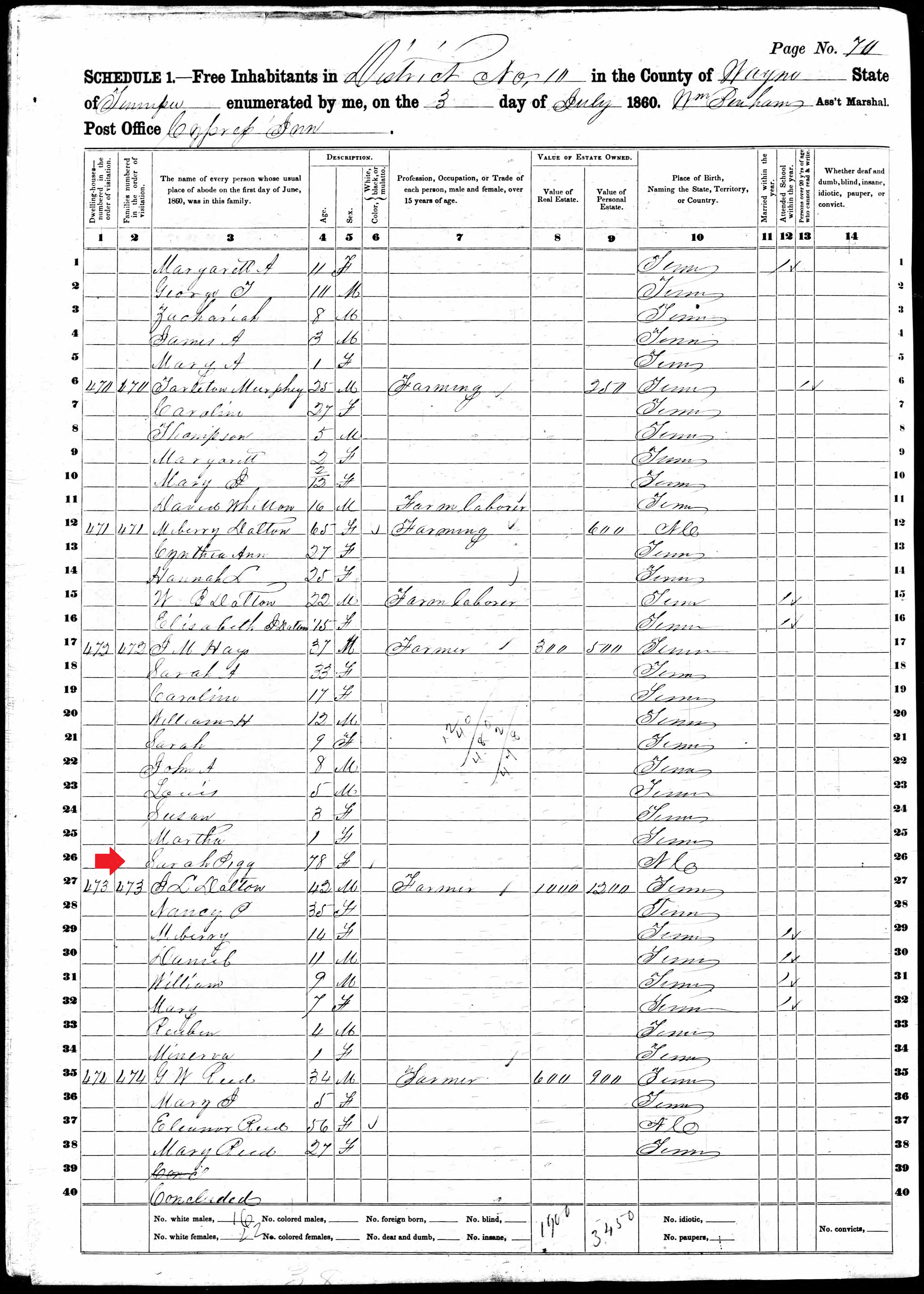 Sarah Cate Pigg 1860Wayne County Tennessee