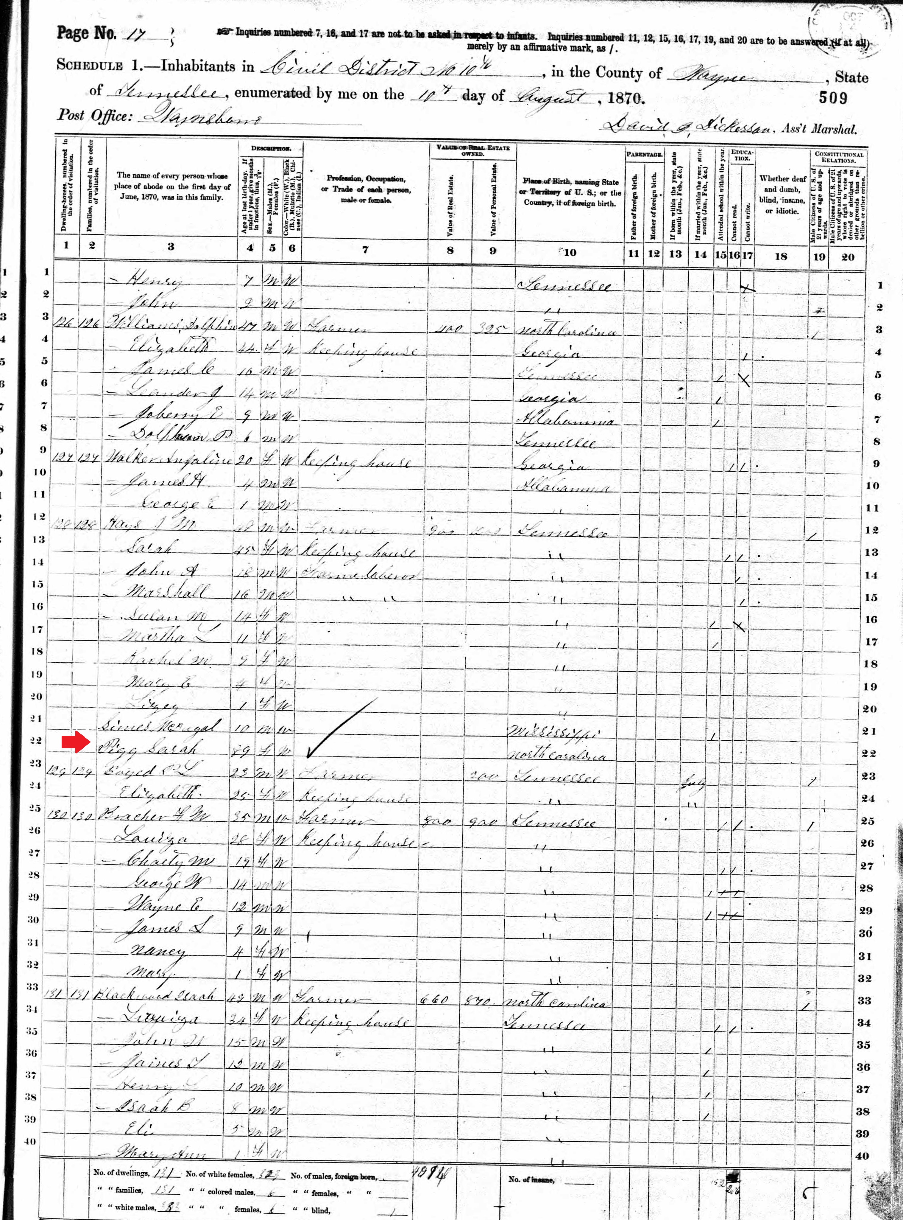 Sarah Cate Pigg 1870 Wayne County Tennessee